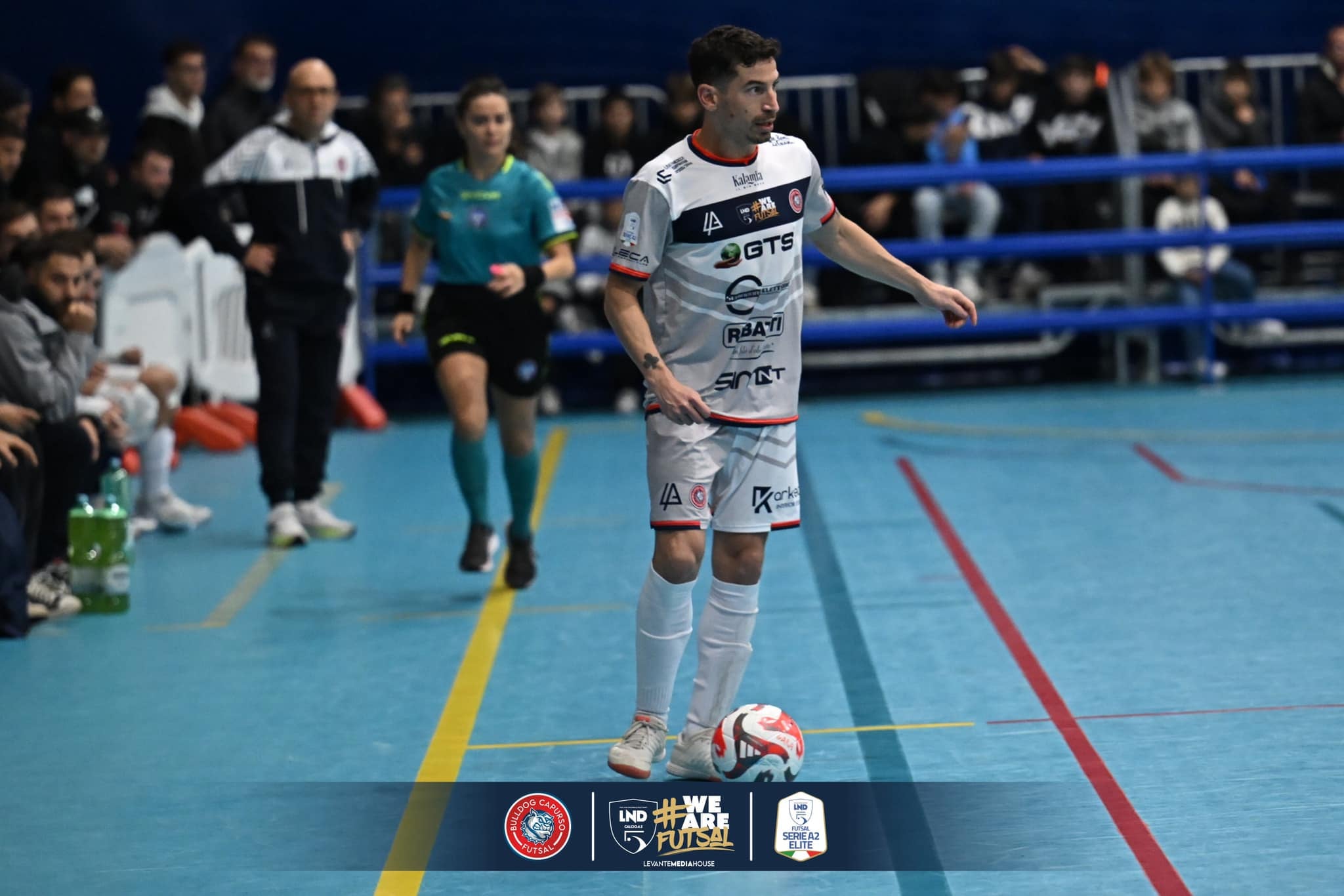 Bulldog Capurso — Foto 2