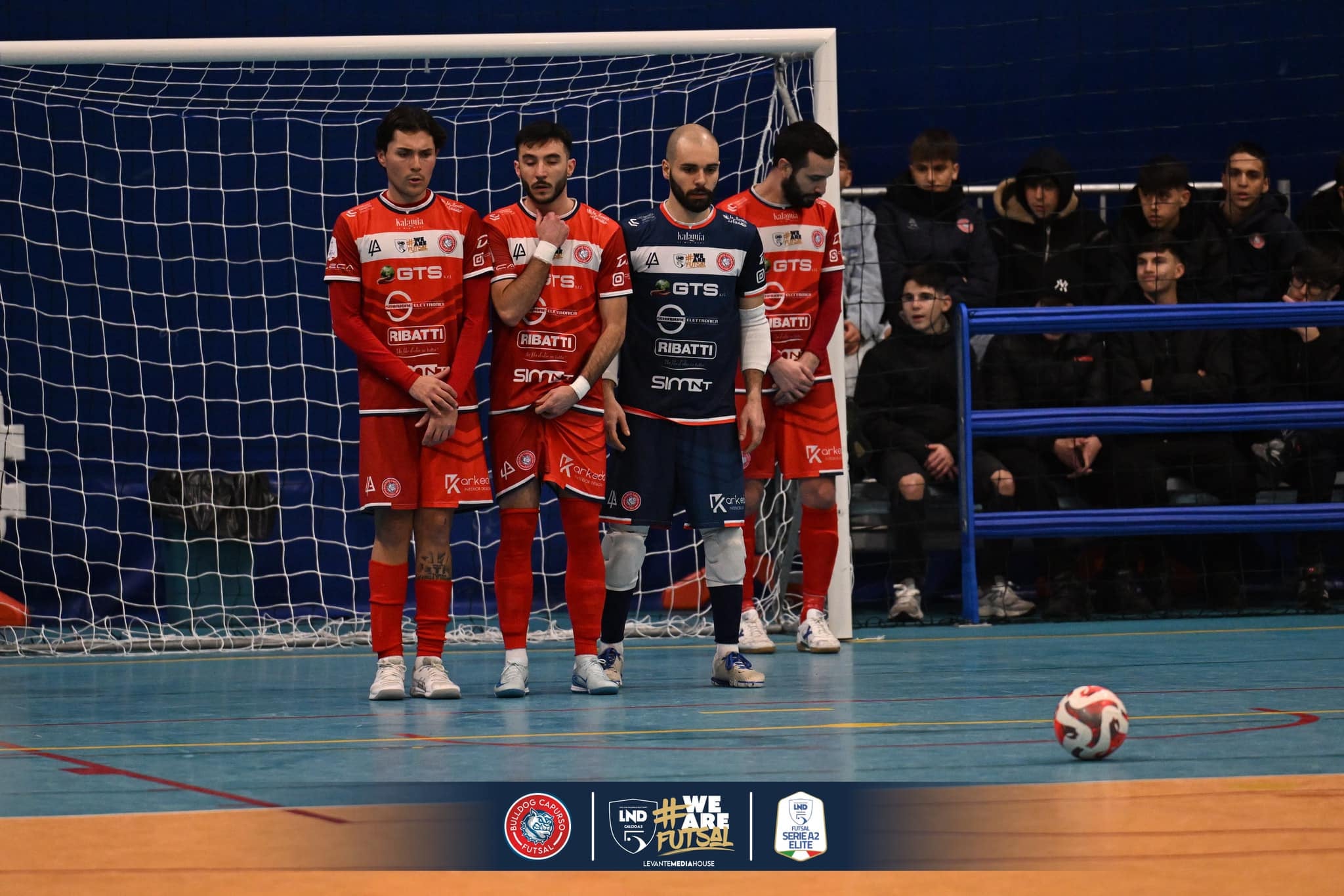 Bulldog Capurso — Foto 5