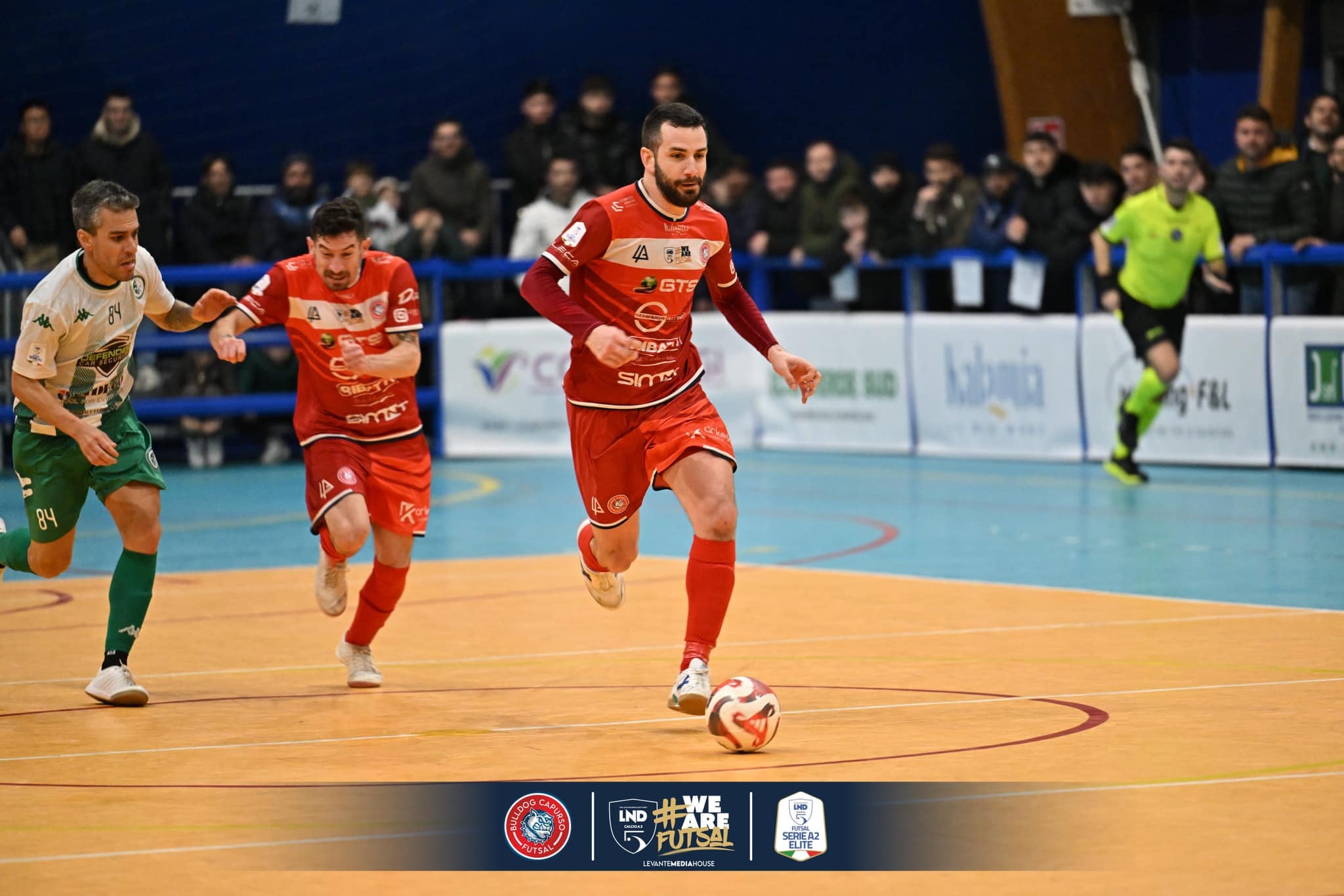 Bulldog Capurso — Foto 9